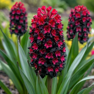 Гиацинт Джем Стоун купить по цене от 2099р. в интернет-магазине «Посадика» с доставкой почтой в в Оханске и по всей России – [изображение №1].