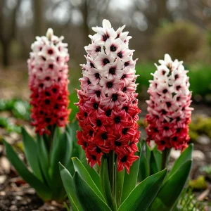 Гиацинт Скай Гарден купить по цене от 2099р. в интернет-магазине «Посадика» с доставкой почтой в в Оханске и по всей России – [изображение №1].